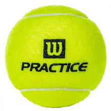 Load image into Gallery viewer, Wilson Practice
